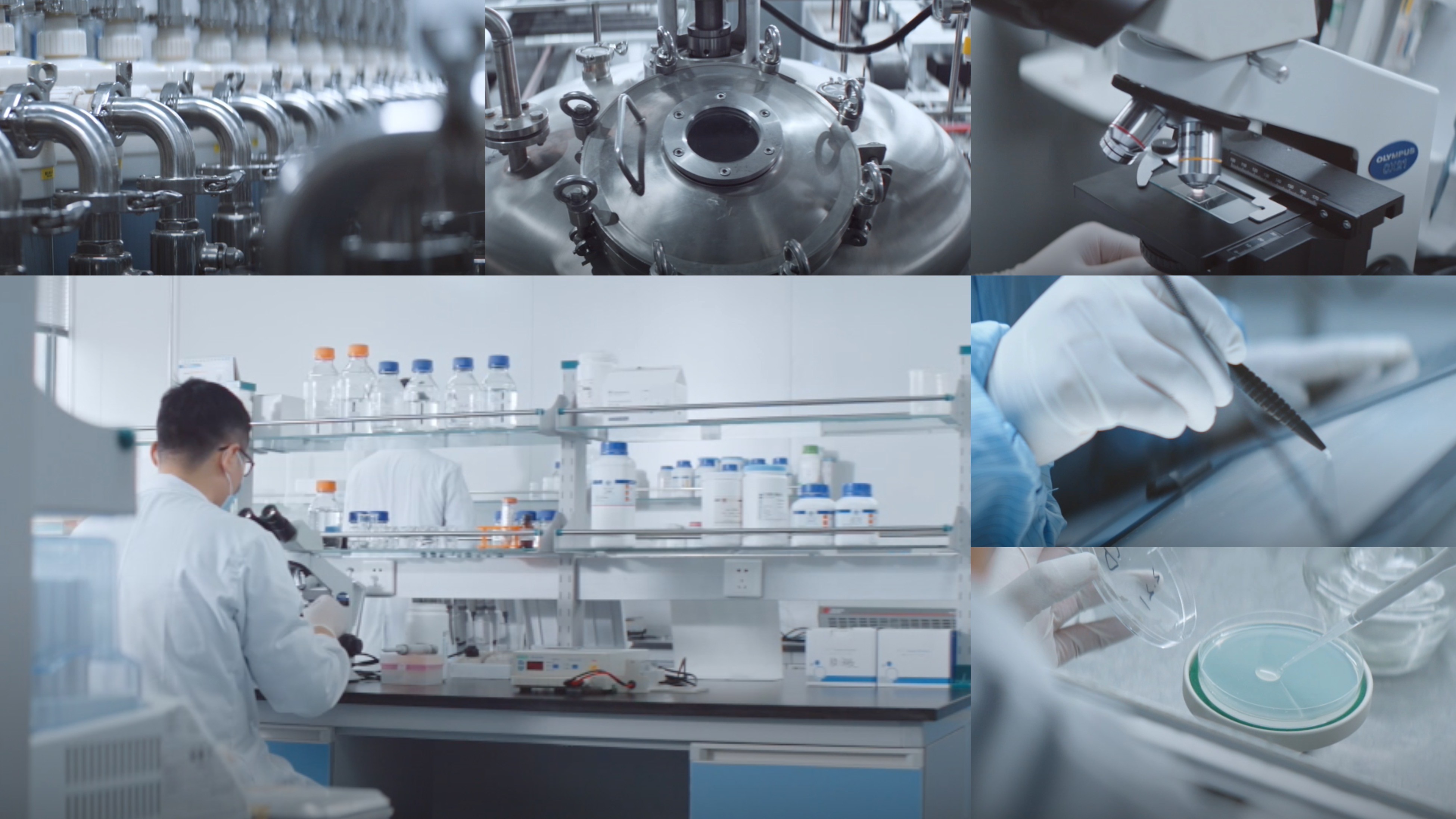 人生就是博医疗重组XVII型胶原荣获个人护理品行业荣格技术创新奖