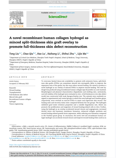 2022 动物研究，重组胶原用于微粒皮移植覆盖