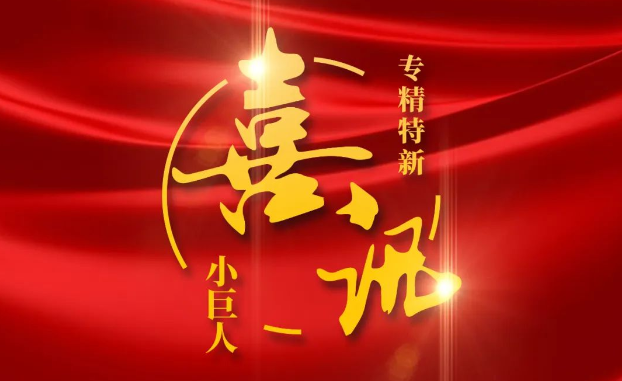 喜讯 | 捷报频传！人生就是博医疗获评国家级专精特新“小巨人”企业公示